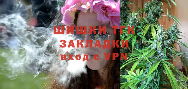 молекула духа Осинники