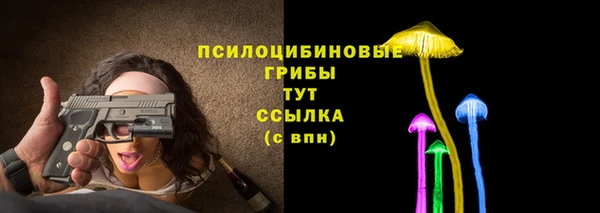 молекула духа Осинники