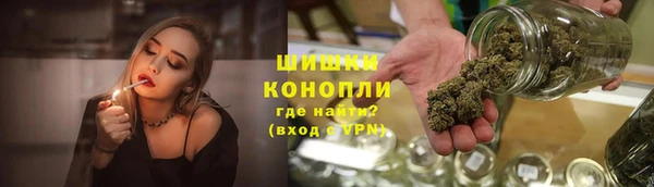 молекула духа Осинники