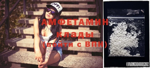 молекула духа Осинники