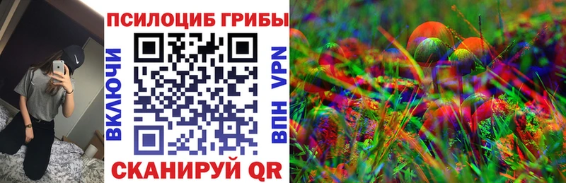 Псилоцибиновые грибы Psilocybe  Беломорск 